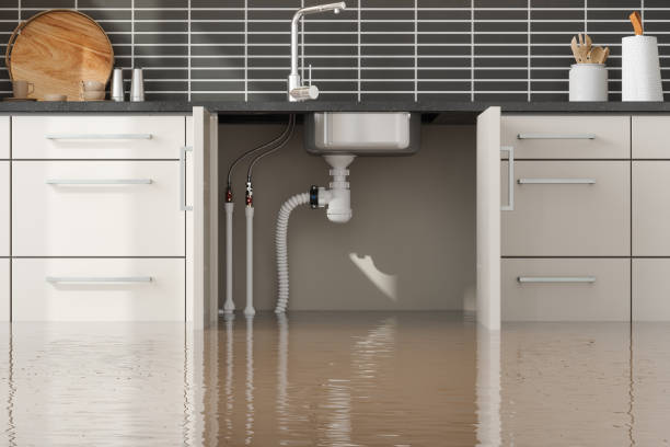 Professional Water damage restoration in South Cleveland, TN