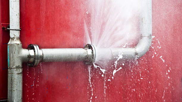Best Professional water damage repair  in South Cleveland, TN